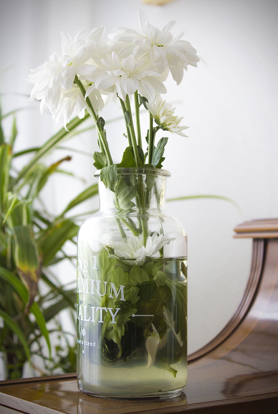 白, 花, クリア, ガラス花瓶, 満たされた, 液体, マルガリータ, 春, 自然, デイジーの花