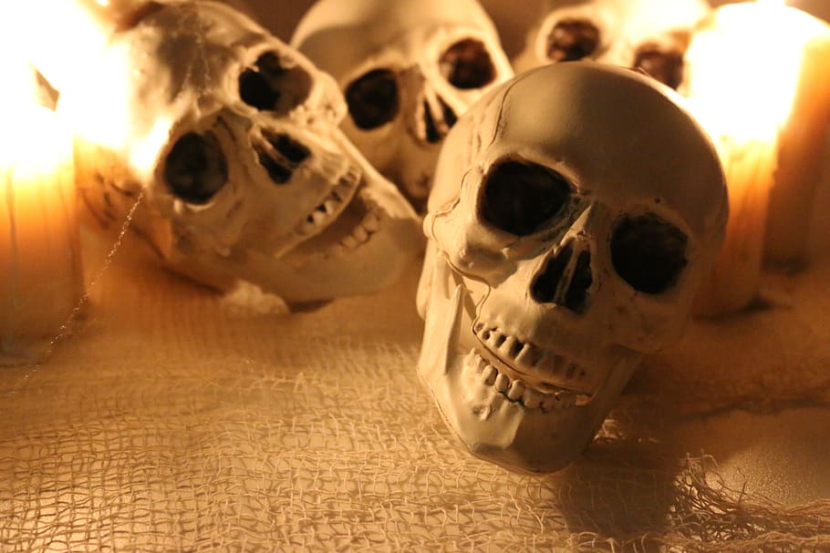 skull, skulls, spidersweb, candle, candlelight, flames, halloween, halloweendeco, halloween party, creepy