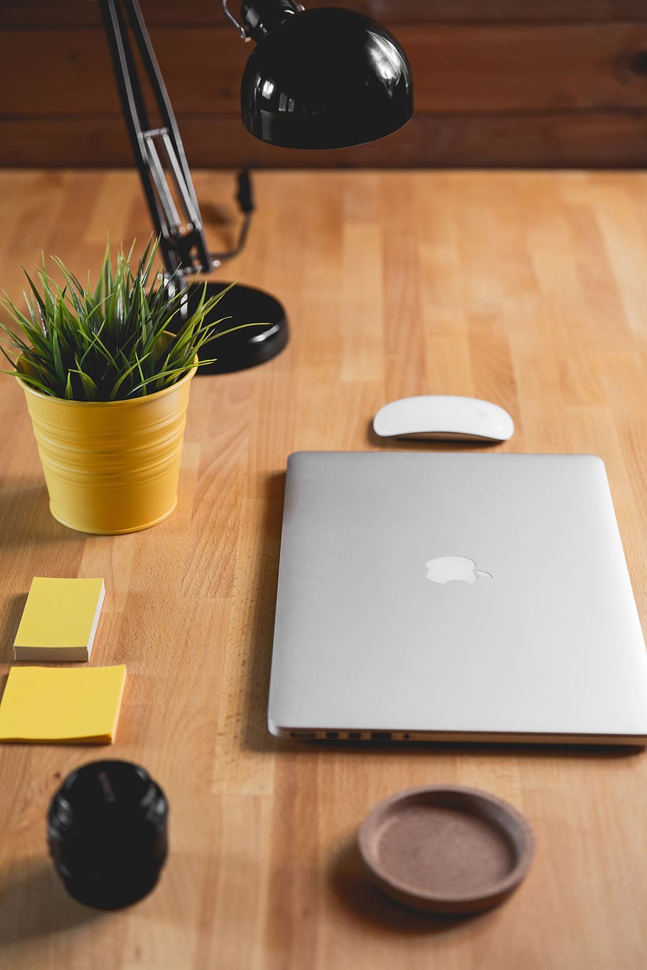 macbook, mouse, lâmpada, preto, postá-lo, amarelo, mesa, escritório, negócios, planta