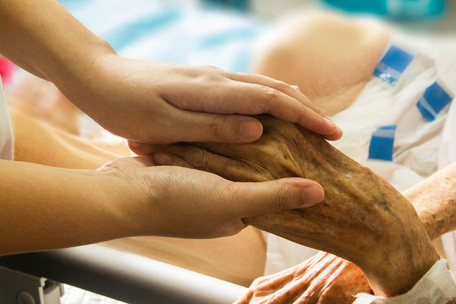 human, holding, old, man hand, old man, hand, hand in hand, hospice, patient, nursing