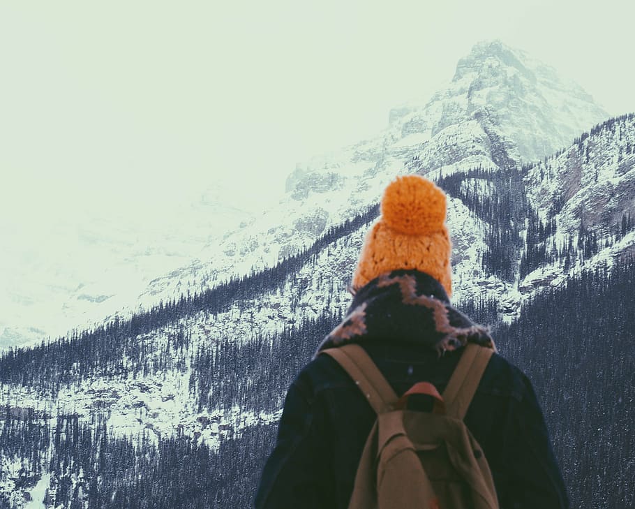 pessoa, em pé, frente, pico da montanha, foto, vestindo, perto, neve, floresta, montanha