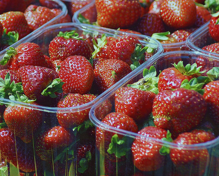 strawberries, fruit, eating, dessert, nature, food, the freshness, ripe fruit, juicy fruit, fruiting
