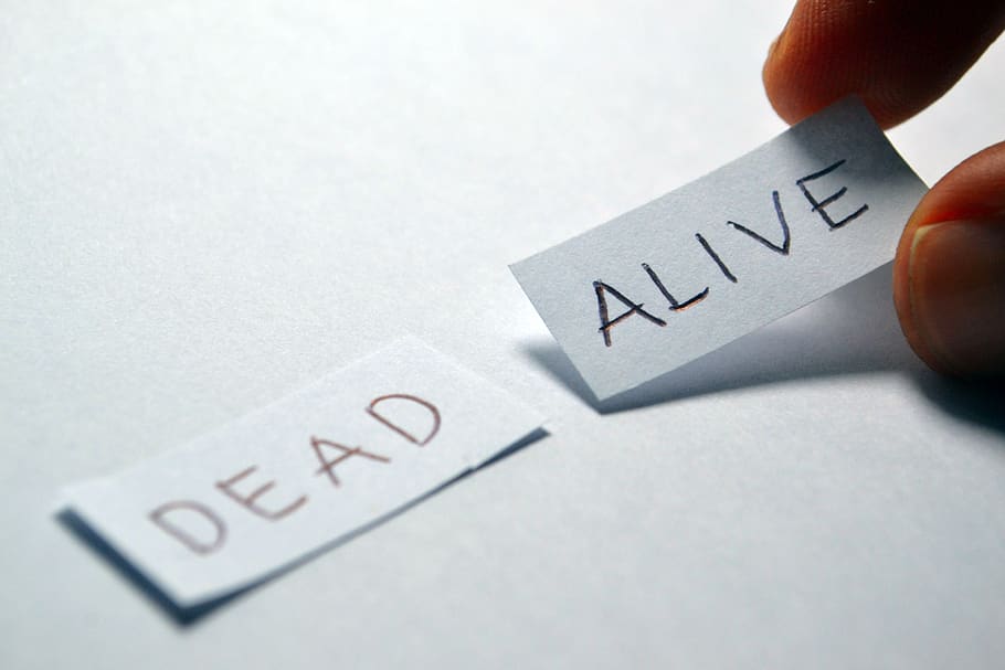 alive, dead, opposite, choice, choose, decision, positive, word, sign, decide