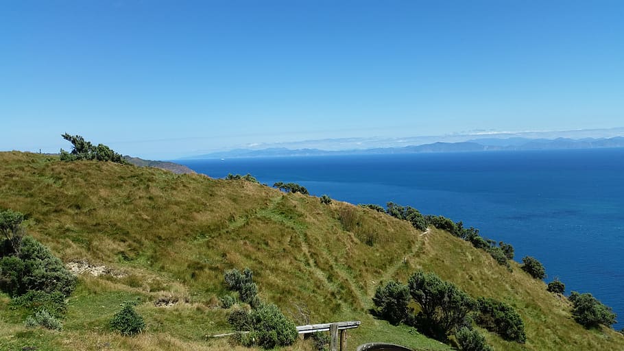Makara, Wellington, céu, paisagens - natureza, mar, meio ambiente, beleza natural, planta, azul, paisagem