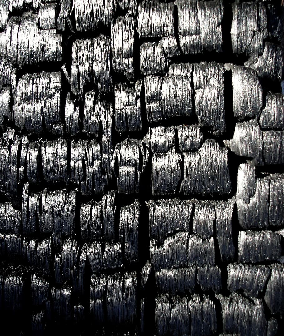 preto, carvão vegetal, queimado, madeira queimada, madeira, padrão, textura, quadro completo, fundos, grande grupo de objetos