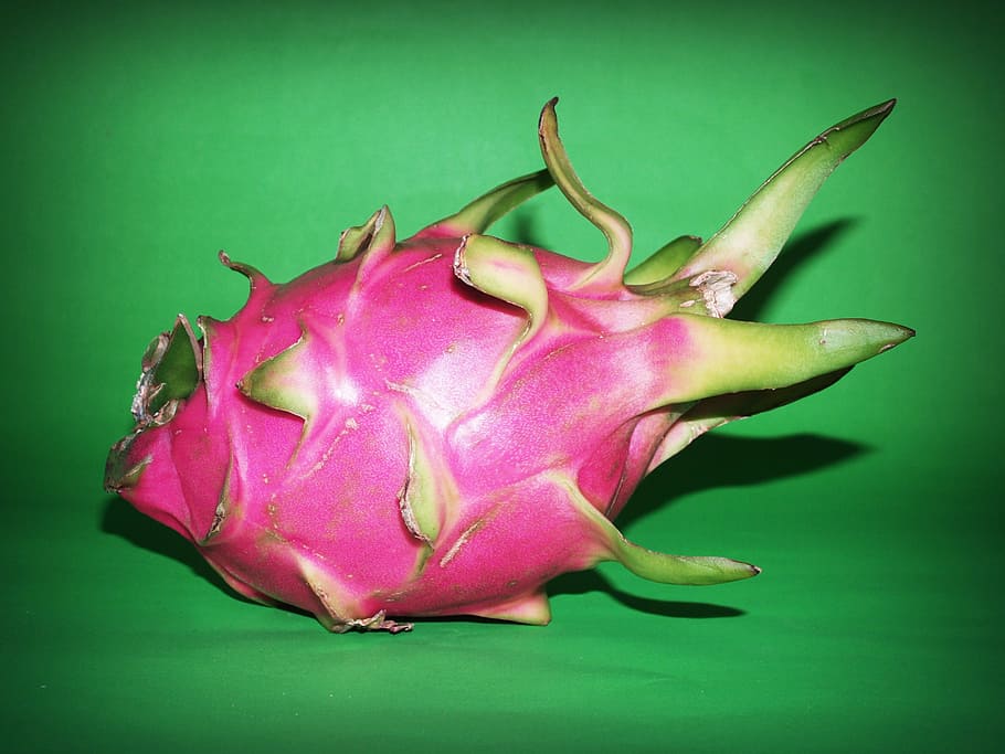 rosado, fruta del dragón, verde, textil, fruta, dragón, primer plano, aislado, Tailandia, suculento