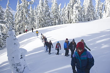 snowshoe-walk-tourists-snow-winter-royalty-free-thumbnail.jpg