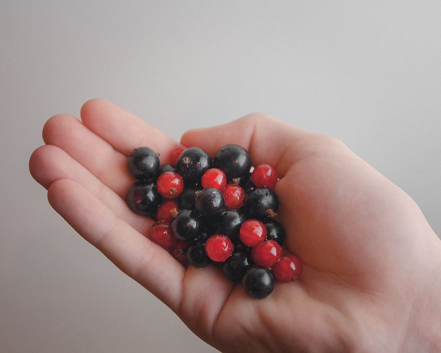 red, blue, berries, hands, food, hand, human hand, one person, fruit, food and drink