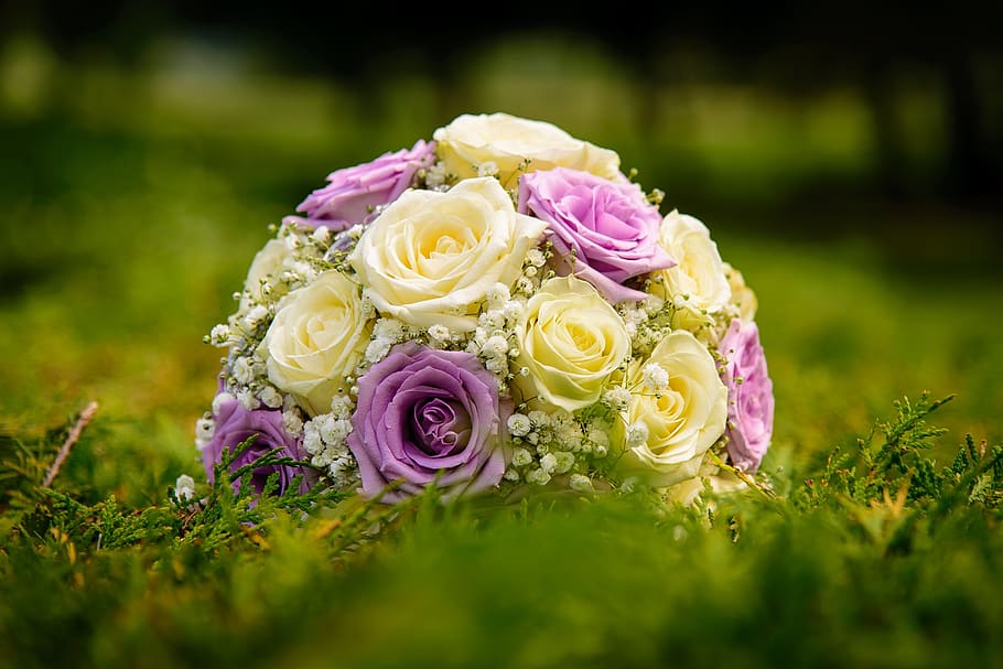 bouquet, flower, bunch, roses, petal, green, grass, wedding, photography, nature