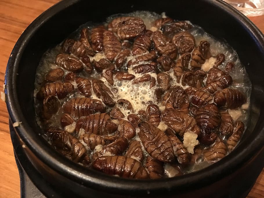 gusanos de seda, comida coreana, insecto, comida, comida y bebida, carne, interior, frescura, primer plano, estofado