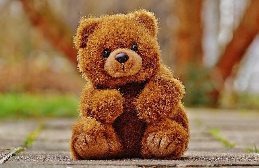 oso, peluche, animal de peluche, oso de peluche, oso pardo, niños, animal, oso de peluche peludo, juguetes para niños, dulce