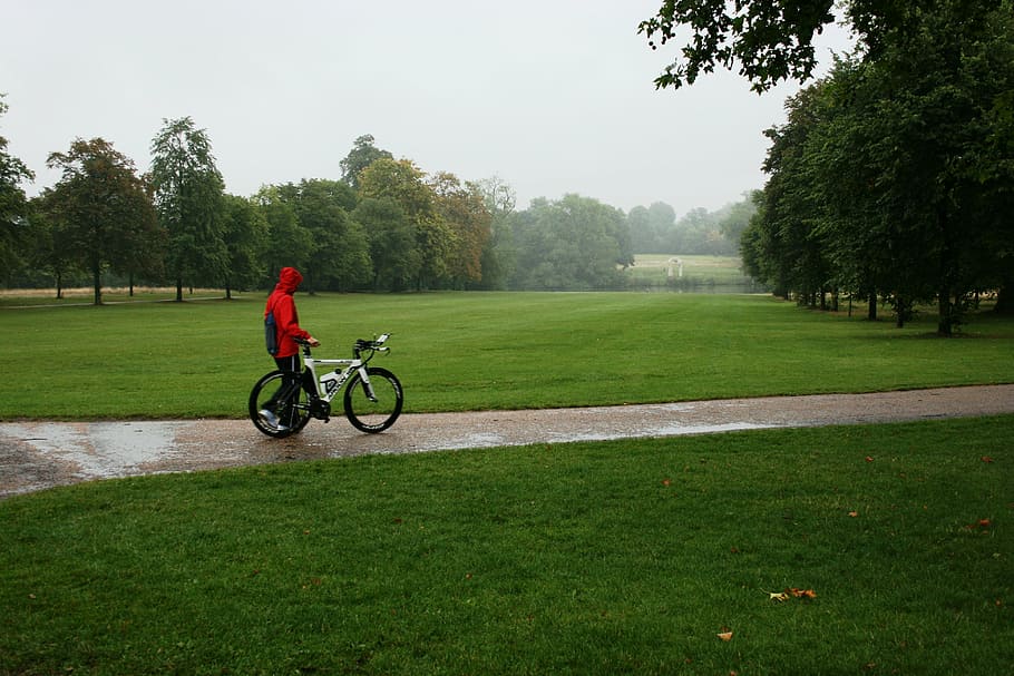 bicicleta, chuva, parque, solidão, andar, outono, reflexão, caminho, planta, árvore