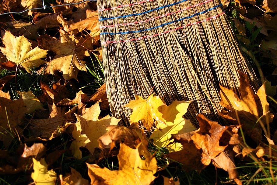 closeup, maple, leaves, woven, mat, yellow leaves, autumn gold, autumn, foliage, broom