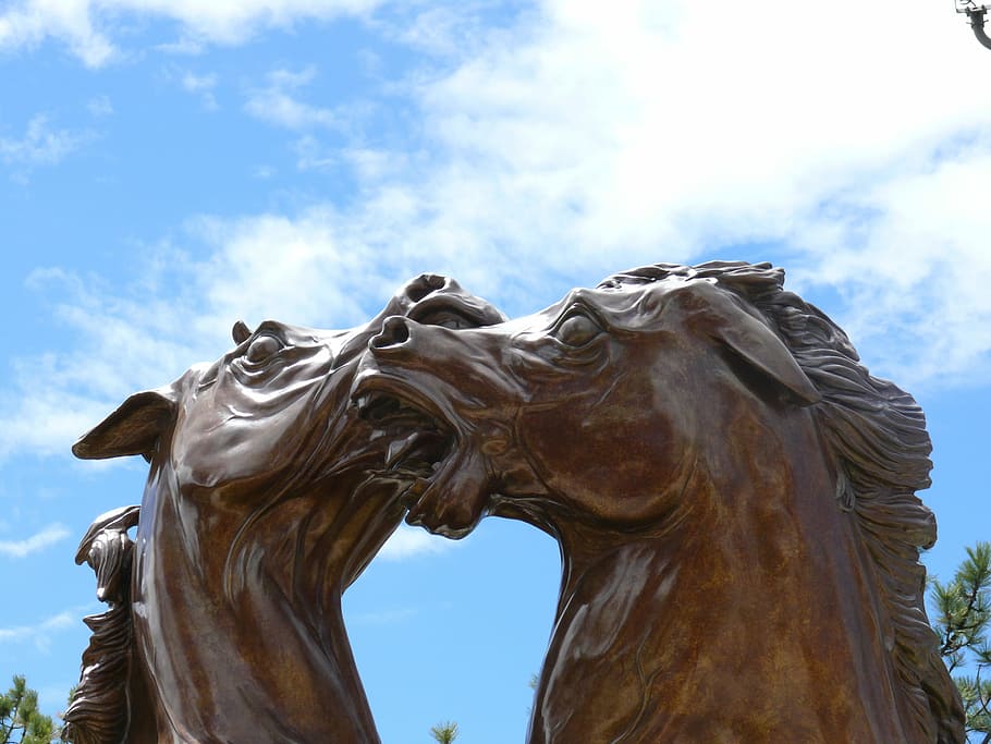 Bronze Statue, Horses, art, statue, work of art, korczak, crazy horse memorial, animal representation, sky, day
