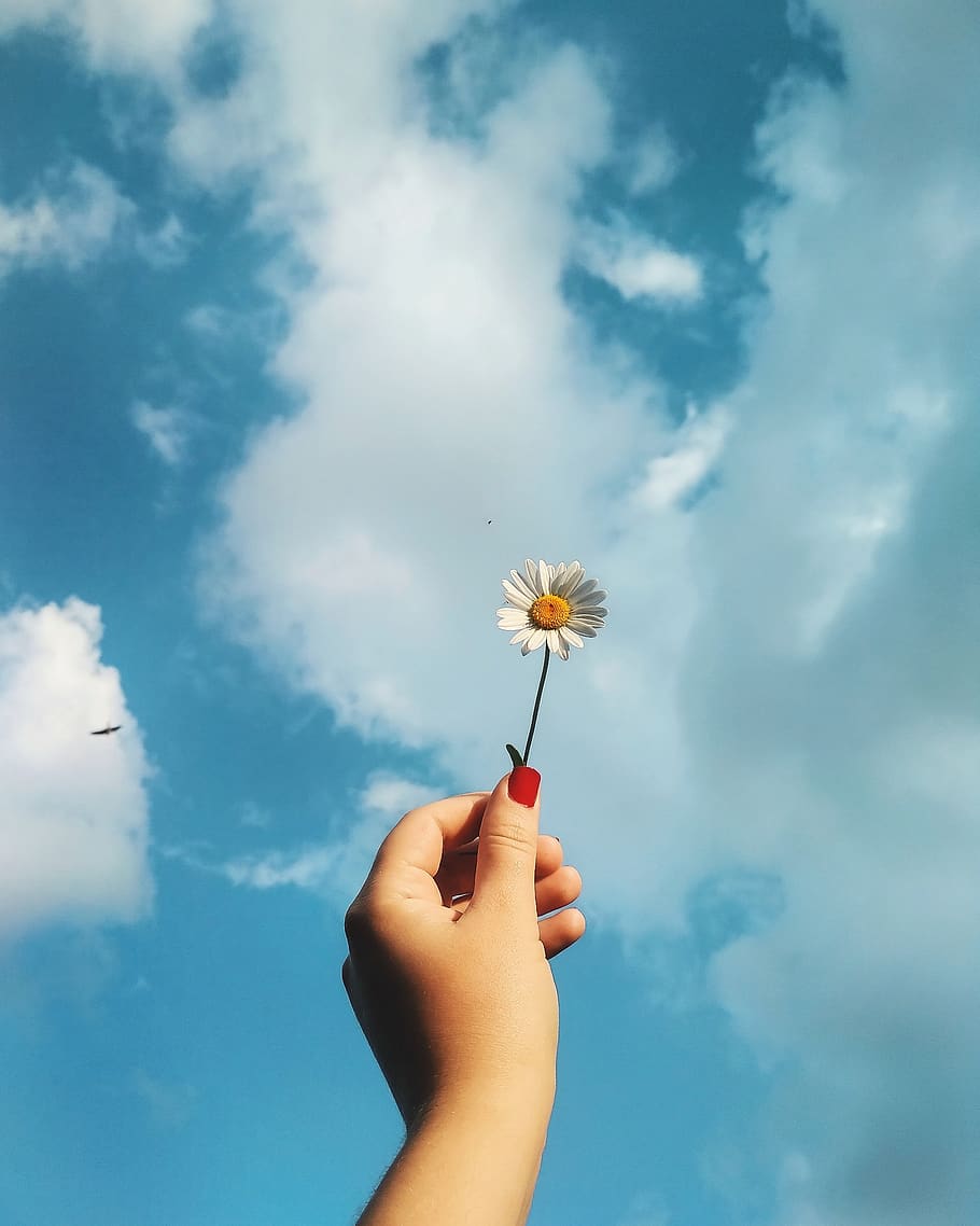 sky, minimal, flower, hand, good day, human hand, holding, cloud - sky, real people, personal perspective