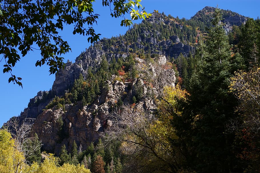 wasatch, mountains, utah, nature, trees, rocky, scenic, summer, rocks, scenery