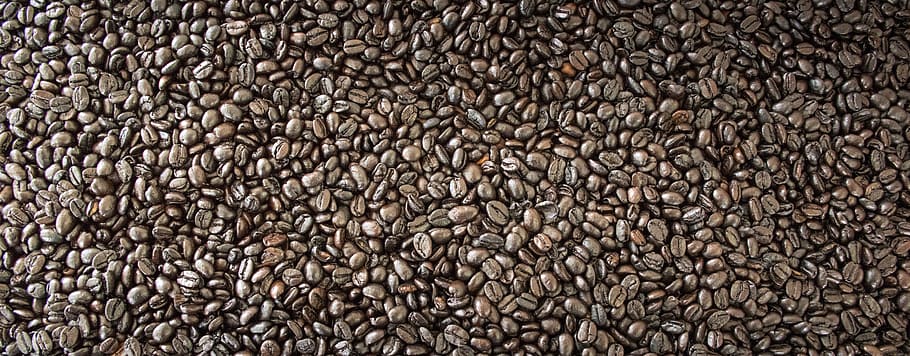 コーヒー豆ロット, コーヒー, コーヒー豆, プロセス, 飲料, おいしい, 甘い, 朝, 穏やか, リラックス