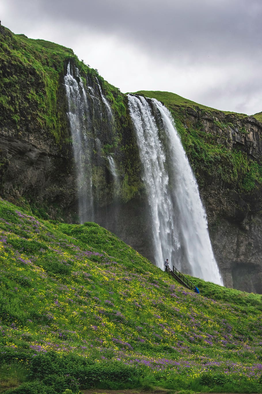 cachoeira skogafoss, islândia, cachoeira, primavera, grama verde, amarelo, flores, tempestade, nublado, cinza