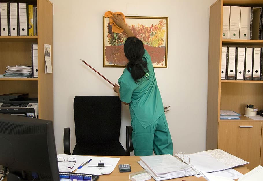 mujer limpiando pintura, dentro, oficina, mujer, verde azulado, matorral, traje, limpieza, empleo, trabajo