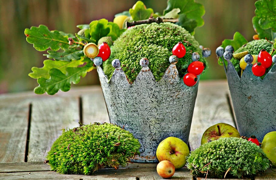 two, grey, crown buckets, green, flowers, fruits, closeup, photography, autumn, autumn decoration