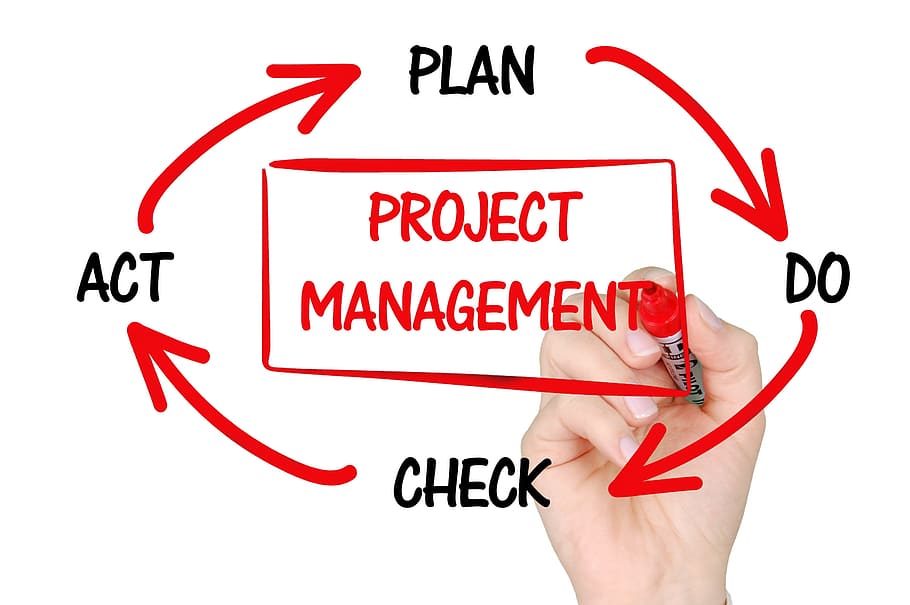 clipart de gestión de proyectos, gestión de proyectos, planificación, negocios, gestión, gerente de proyectos, proyecto, desarrollo, éxito, mano humana