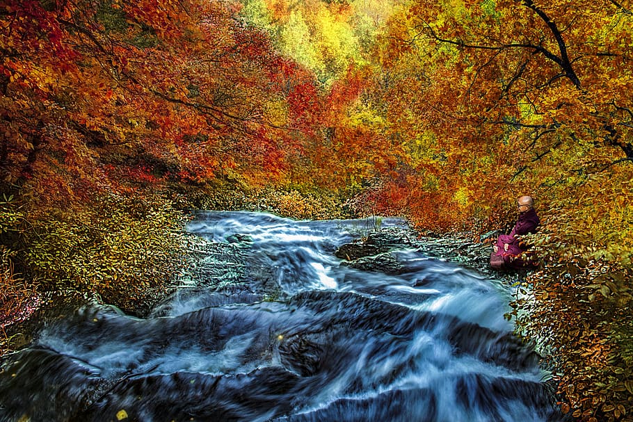 musim gugur, warna-warni, pemandangan, air terjun, biarawan, meditasi, tenang, alam, air, aliran
