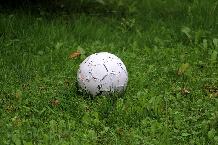 サッカー, ボール, 草, 牧草地, スポーツ, サッカーボール, アウトドア, グリーン色, 人なし, 植物