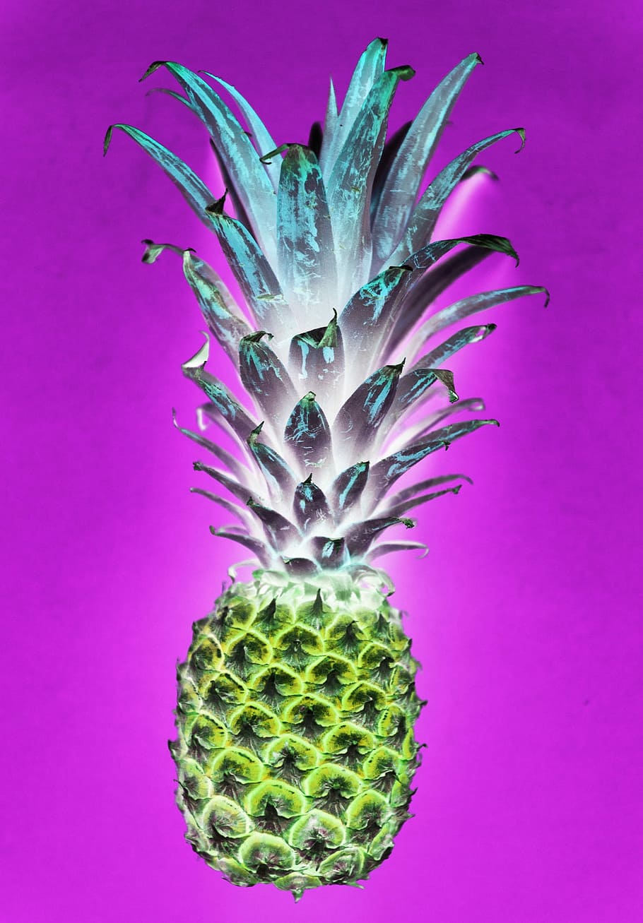 pineapple fruit, purple, background, nature, desktop, flora, color, summer, aerial, colorful