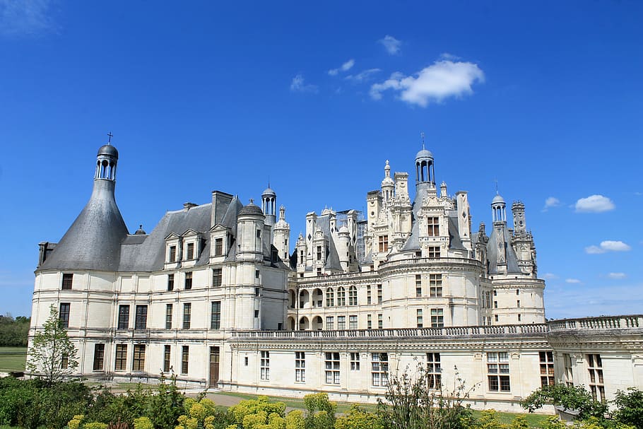 white, castle photo, daytime, chambord, renaissance, france, françois 1er, king, château de chambord, châteaux de la loire