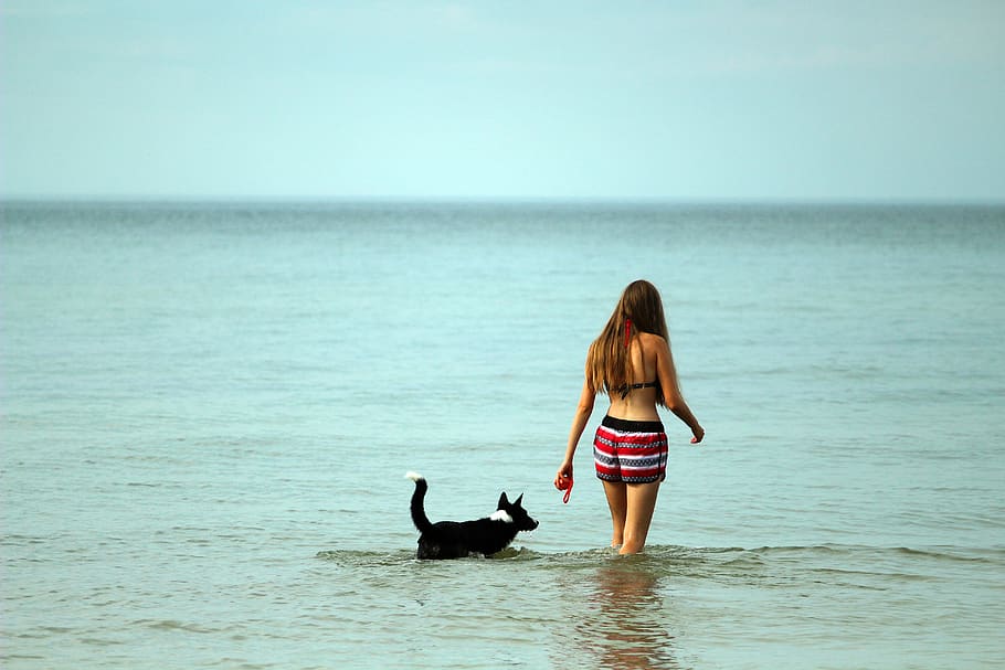 sea, spacer, summer, girl, dog, peace of mind, water, horizon over water, horizon, one animal