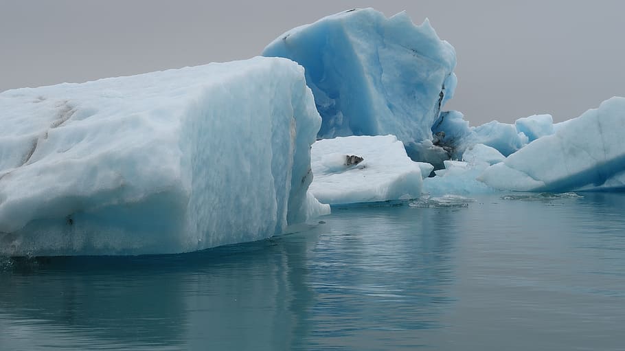 Iceland, Glacier, Cold, Ice, Blue, ice, blue, arctic, icelandic, water, iceberg