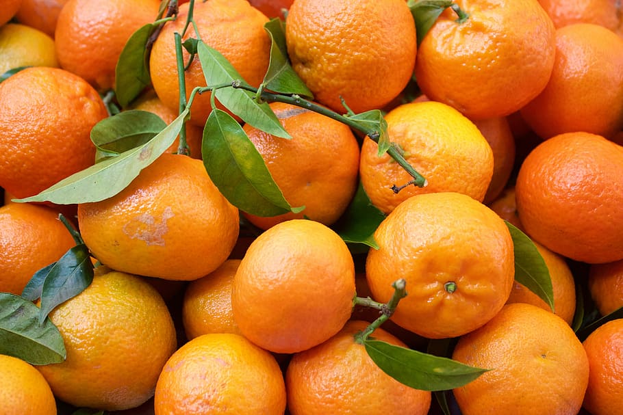 Laranjas, Frutas, Citrinos, Suculento, Vitamina, natural, fruta laranja, comida e bebida, cor laranja, frescura