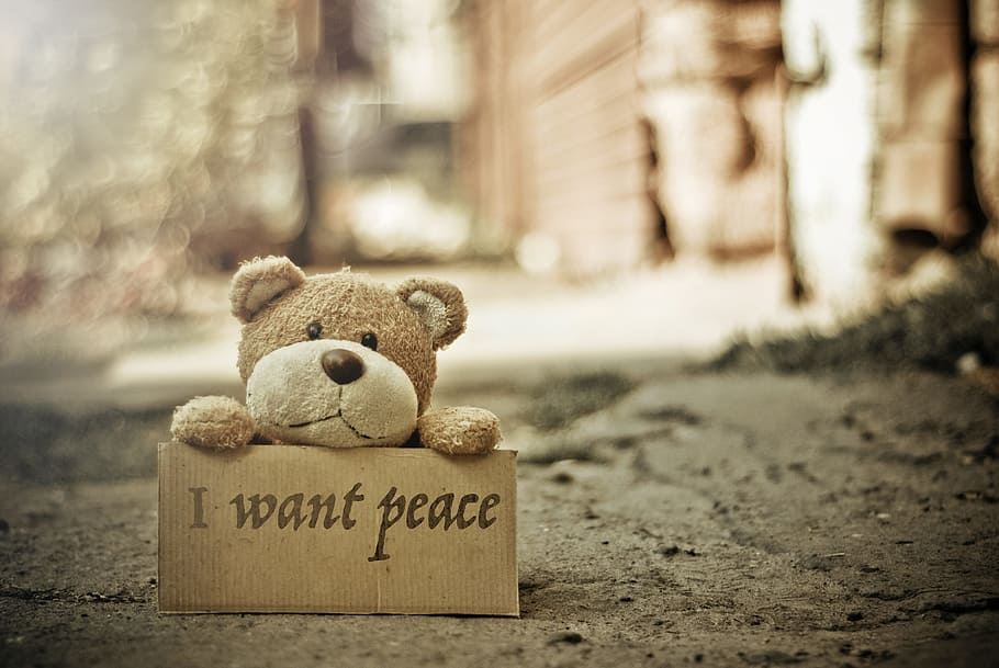 paz, oso de peluche, lacayo, abrazo, juguetes, suave, lindo, signo de la paz, posando, texto