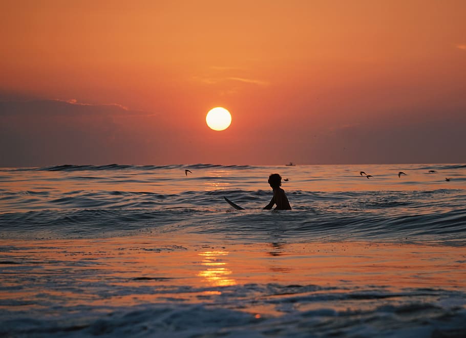 fotografía de silueta, persona que practica surf, silueta, hombre, agua, pájaros, vuelo, puesta de sol, naturaleza, sol