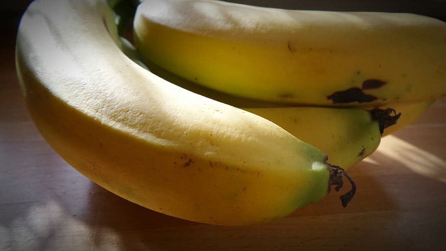 pisang, buah, pisang semak, sehat, mangkuk buah, tropis, obstbanane, kulit, tutup, semak
