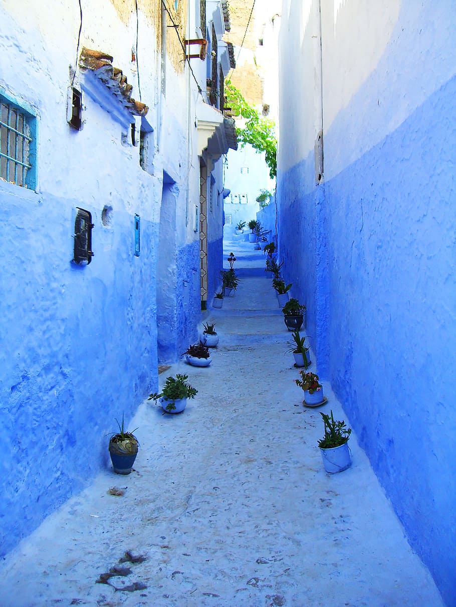 Chefchaouen, Morocco, Alley, blue, arabic, village, blue houses, north africa, passage, away