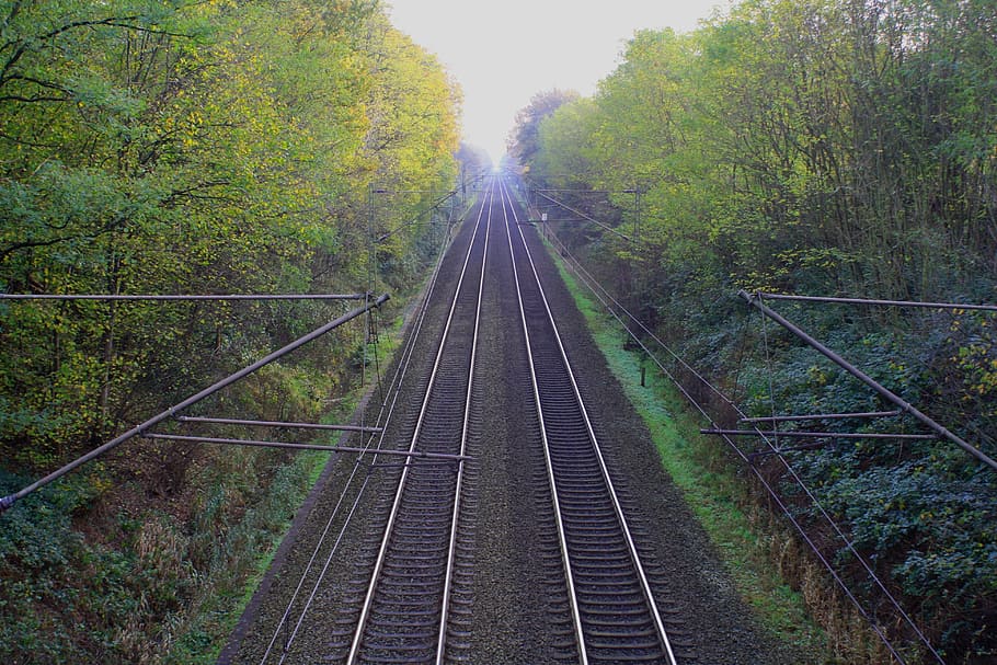 viagem, infinito, distância, horizonte, trem, ferrovia, ferroviário, apenas, em linha reta, outono
