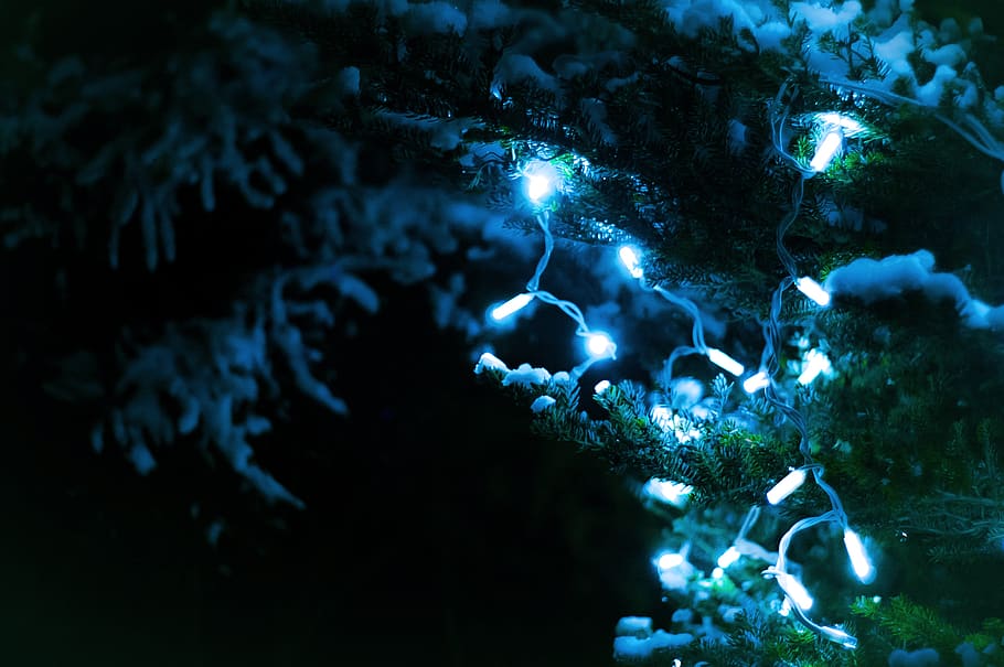 christmas, lights, tree, night, dark, winter, snow, water, sea, underwater
