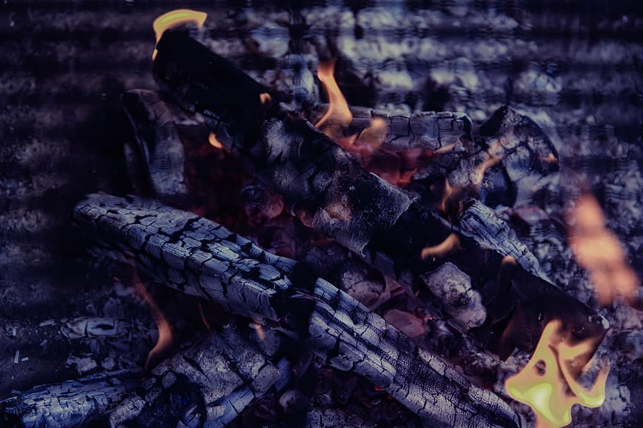 kayu bakar dengan api, api, panas, kayu bakar, api unggun, pistol, dewasa, full frame, bagian tubuh manusia, malam