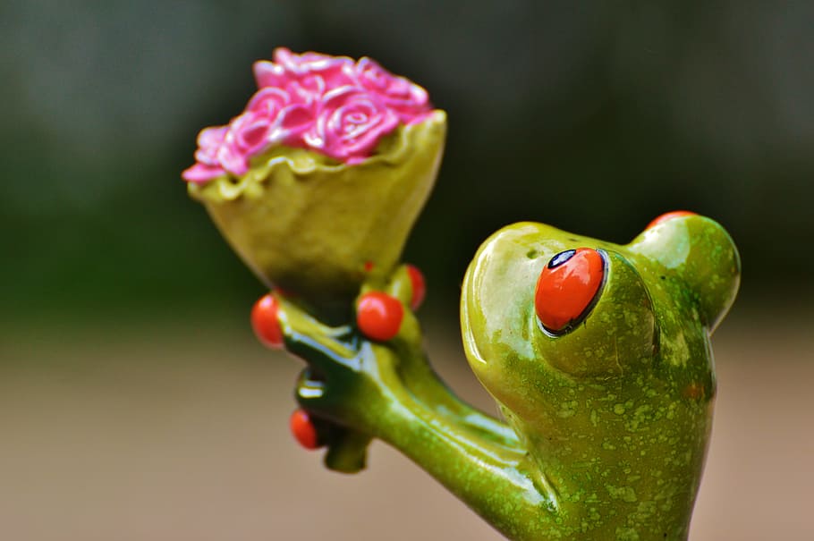 shallow, focus photo, green, ceramic, frog figurine, i beg your pardon, excuse me, frog, sweet, cute