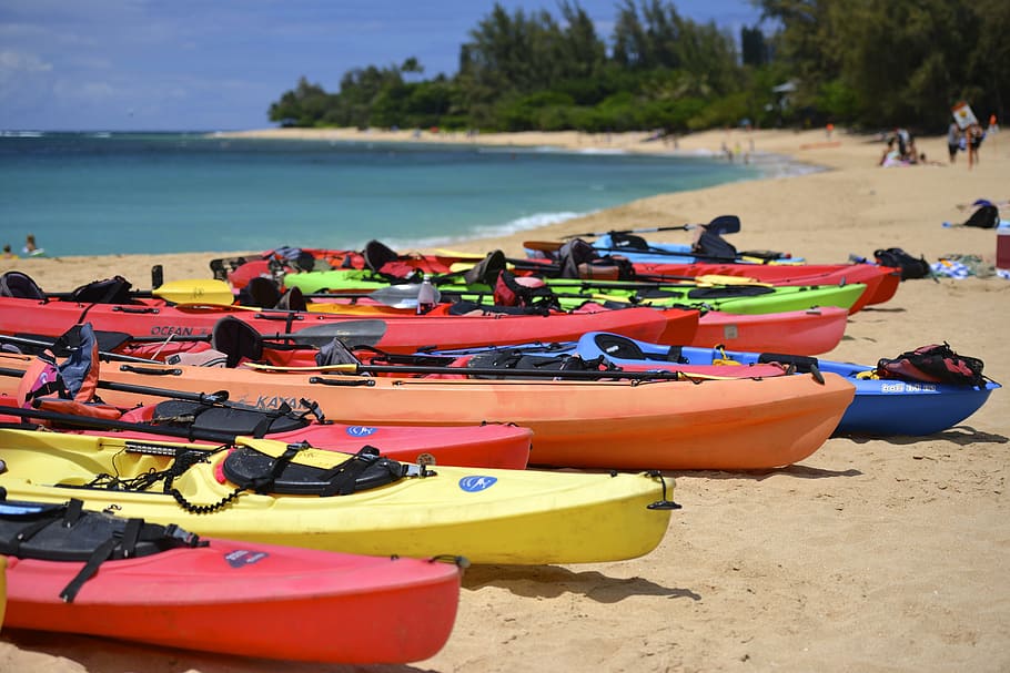 kayak lot, beach, body, water, kayak, lot, on the beach, body of water, boat, kayaking