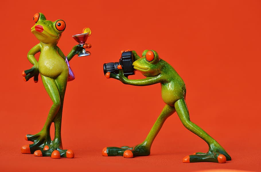 frog, photographer, model, photo model, lady, posing, camera, photograph, fun, funny - Pxfuel