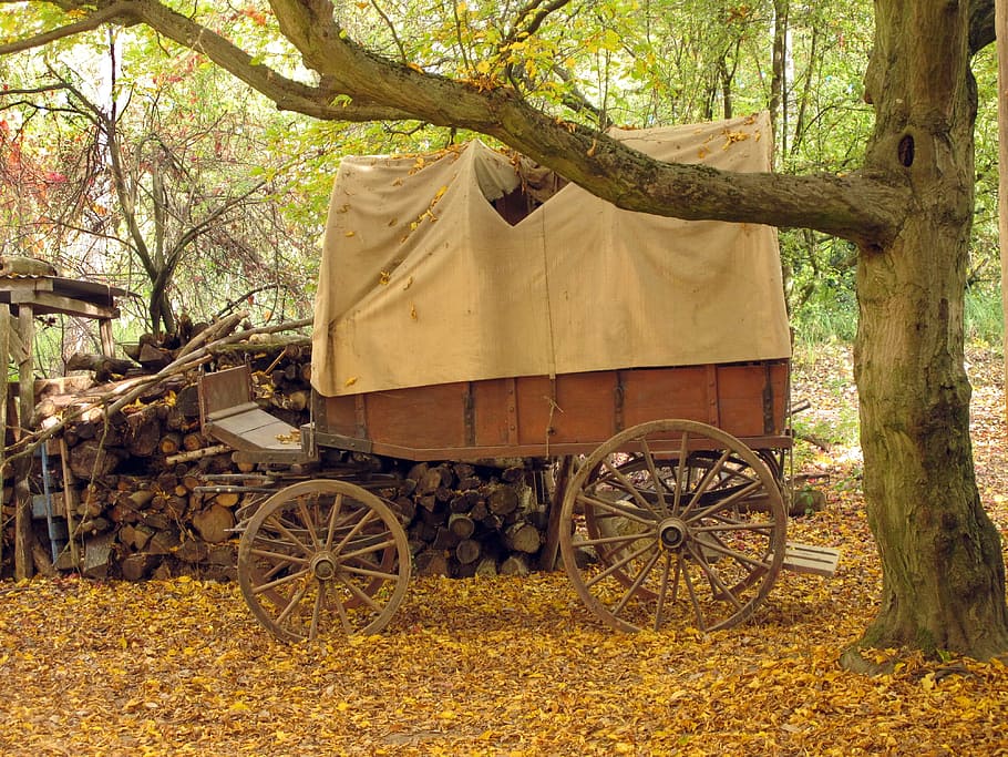 close, brown, wooden, carriage, close up, covered wagon, wooden cart, wagon, nostalgic, wheel