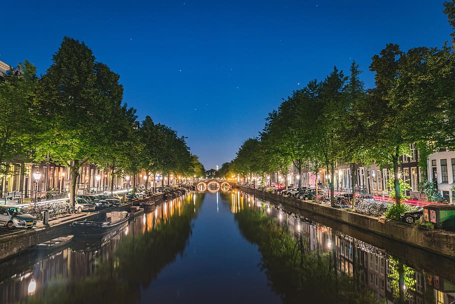 buildings, canal, night, body, water, green, trees, park, plant, nature