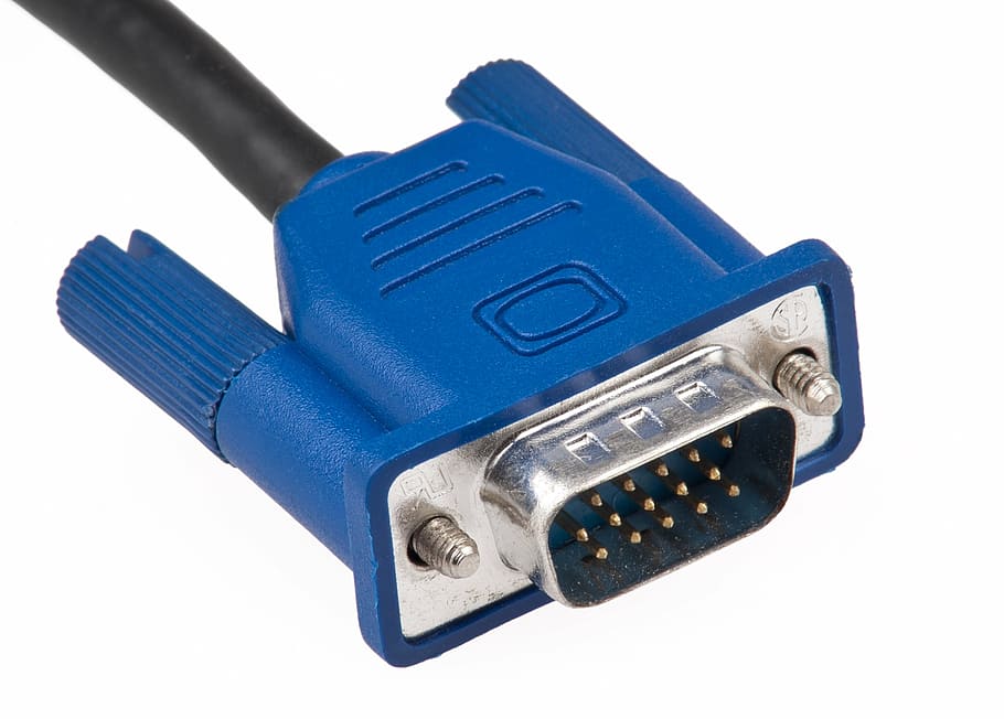 blue vga cable, vga, cable, plug, computer, technology, connection, connector, cord, cut out