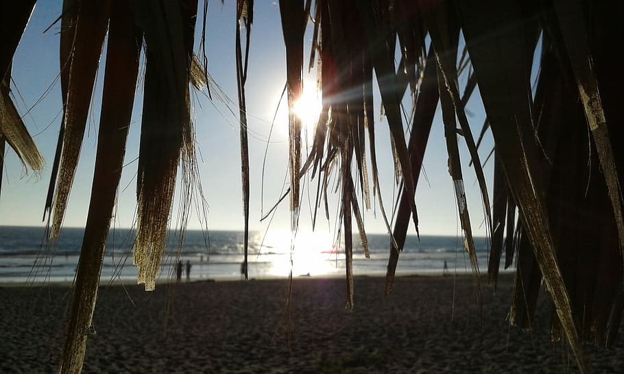 playa, puesta de sol, mar, luz de fondo, tierra, cielo, tranquilidad, agua, escena tranquila, naturaleza