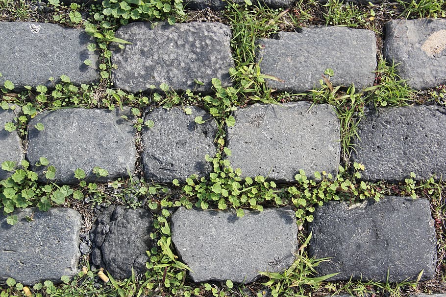 gray, concrete, brick pathway, daytime, stones, background, stone, texture, nature, grass