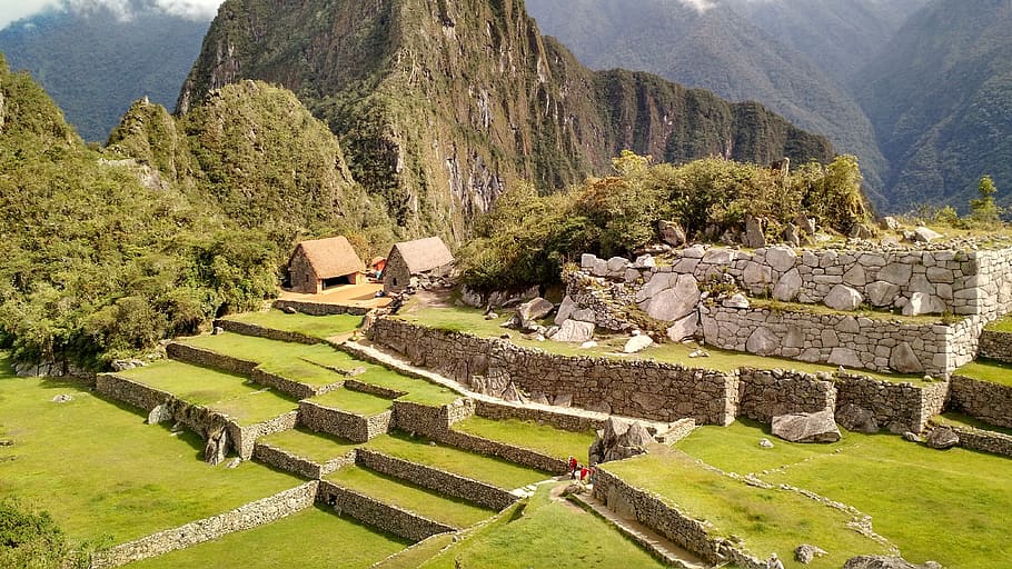 Machu Picchu, Cusco, Peru, bidang, pemandangan, hari, gunung, di luar ruangan, tanaman, pohon
