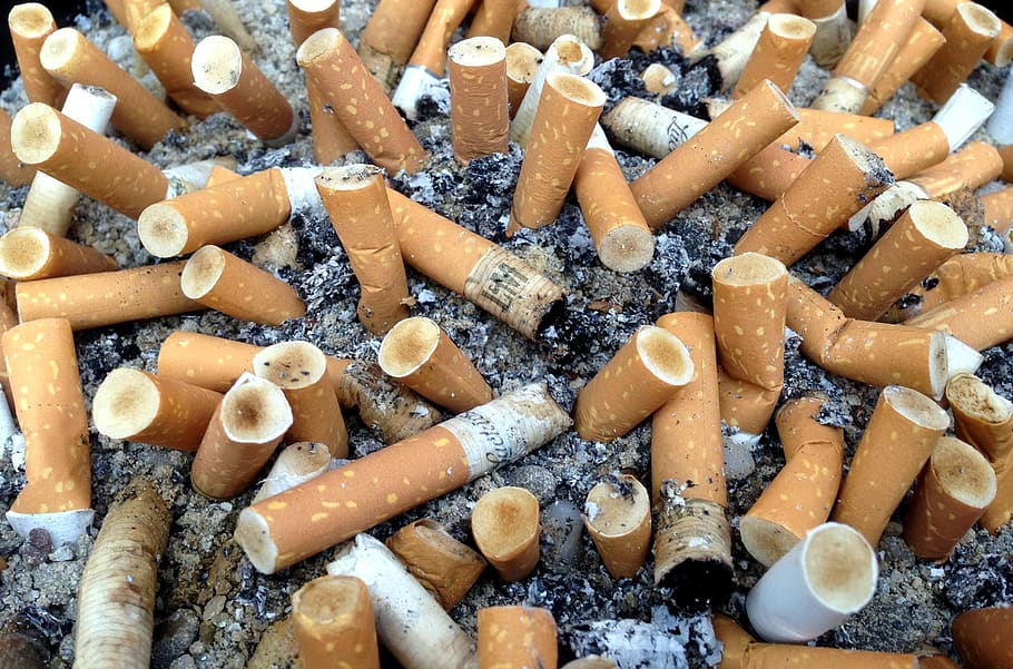 cigarros, cigarros de filtro, nicotina, vício, cinzas, fumo, insalubre, inclinação, ponta de cigarro, bitucas de cigarro