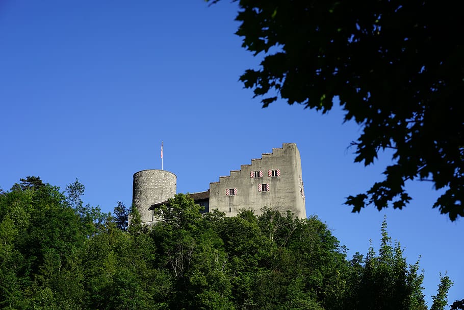 alt-falkenstein castle, castle, height burg, klus, balsthal, switzerland, tree, plant, architecture, built structure